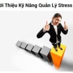 Giới thiệu kỹ năng quản lý stress