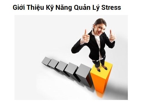 Giới thiệu kỹ năng quản lý stress