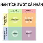 Phan Tich SWOT Ca Nhan